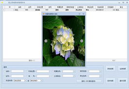 編程小菜的軟件開發記